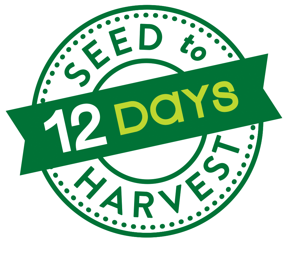 12 Days Seed to Harvest logo