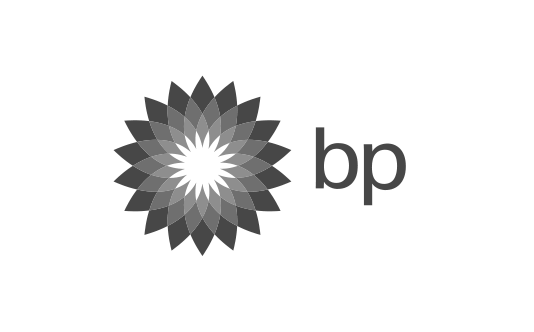 BP logo image