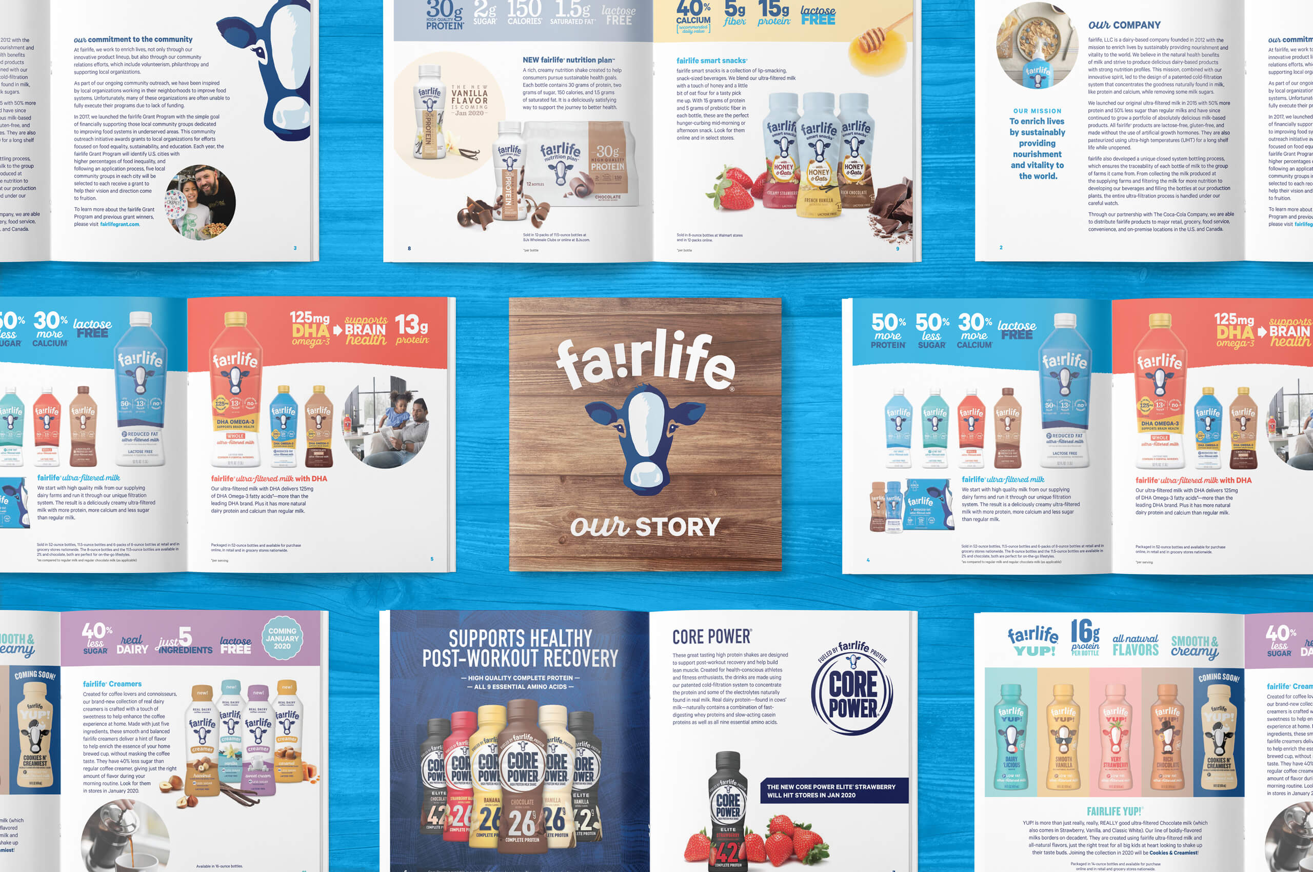 group shot of a fairlife masterbrand brochure with brown wood cover and multiple inside spreads on a blue wood background